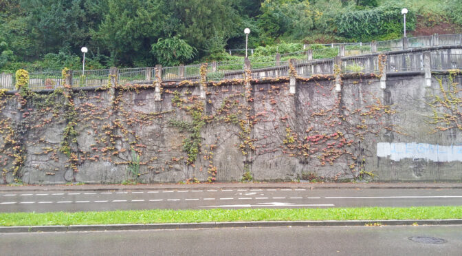 Hangmauer am Schlossbergring