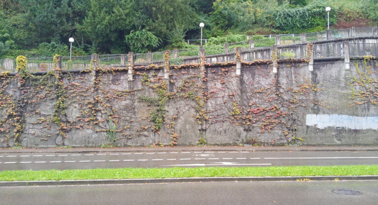 Schlossbergmauer